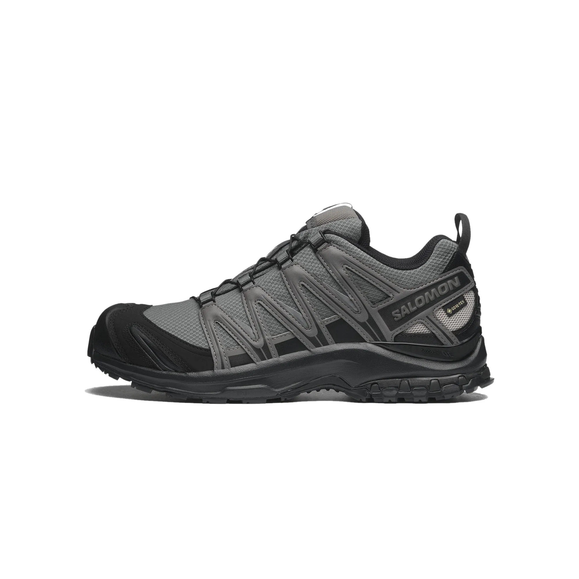 Salomon Mens XA Pro 3D GTX Shoes